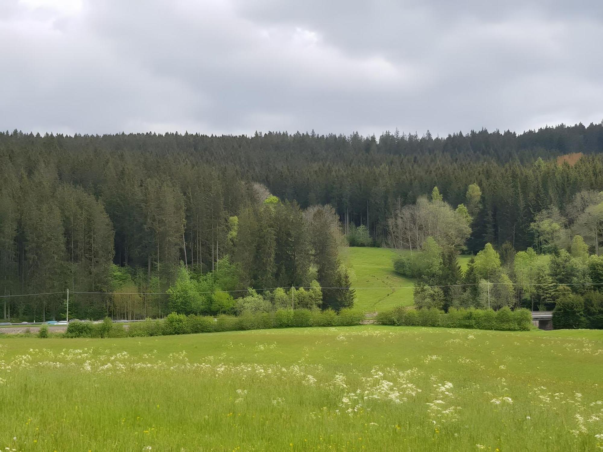 Haus Schwedes Apartman Titisee-Neustadt Kültér fotó